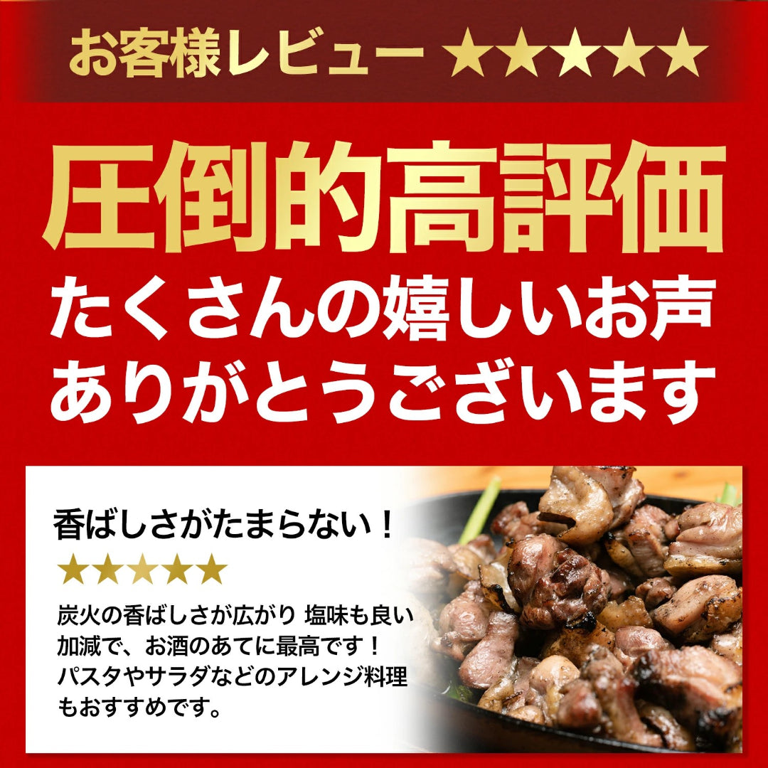 宮崎名物 鶏の炭火焼き 100gX3袋 国産100％ 職人が手焼き