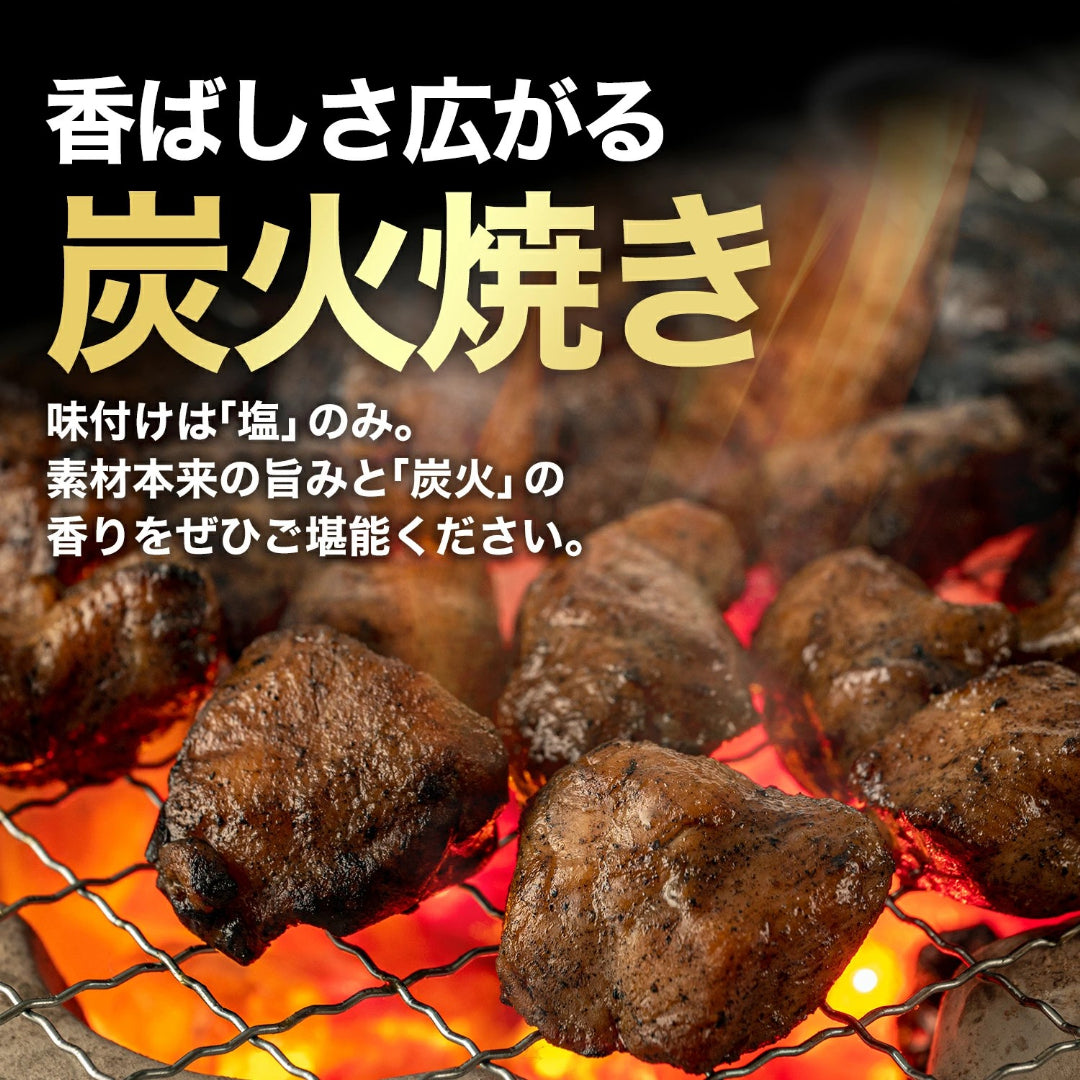 宮崎名物 鶏の炭火焼き 100gX3袋 国産100％ 職人が手焼き