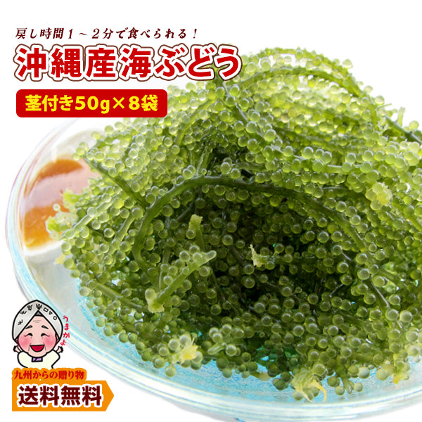 産地直送 沖縄県産 海ぶどう(茎付き) 50g×8袋 塩水漬け